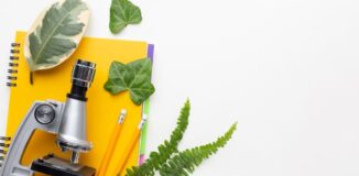 Jak wybrać podręcznik do biologii w szkole podstawowej i średniej?