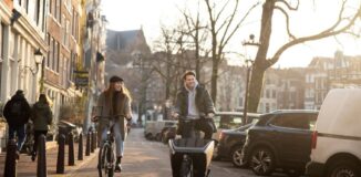 Oferty pracy sezonowej w Holandii – rolnictwo, produkcja, logistyka