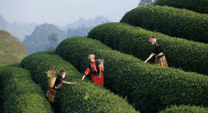 Odkryj korzyści płynące z karty lunchowej – sekret efektywnej oszczędności?