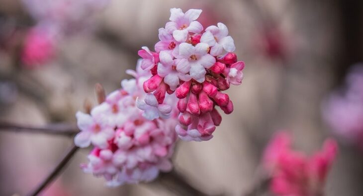 Kołnierze do pokryć dachowych – Który wybrać? Siejemy zgubę Na Mitach i Półprawdach!